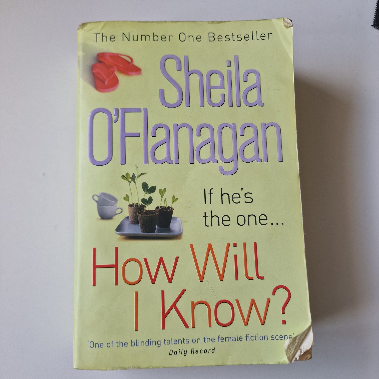 Romance Fiction - Blind Date with a Book - C Quality