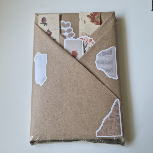 Thriller Book - Blind Date with a Book - C Quality